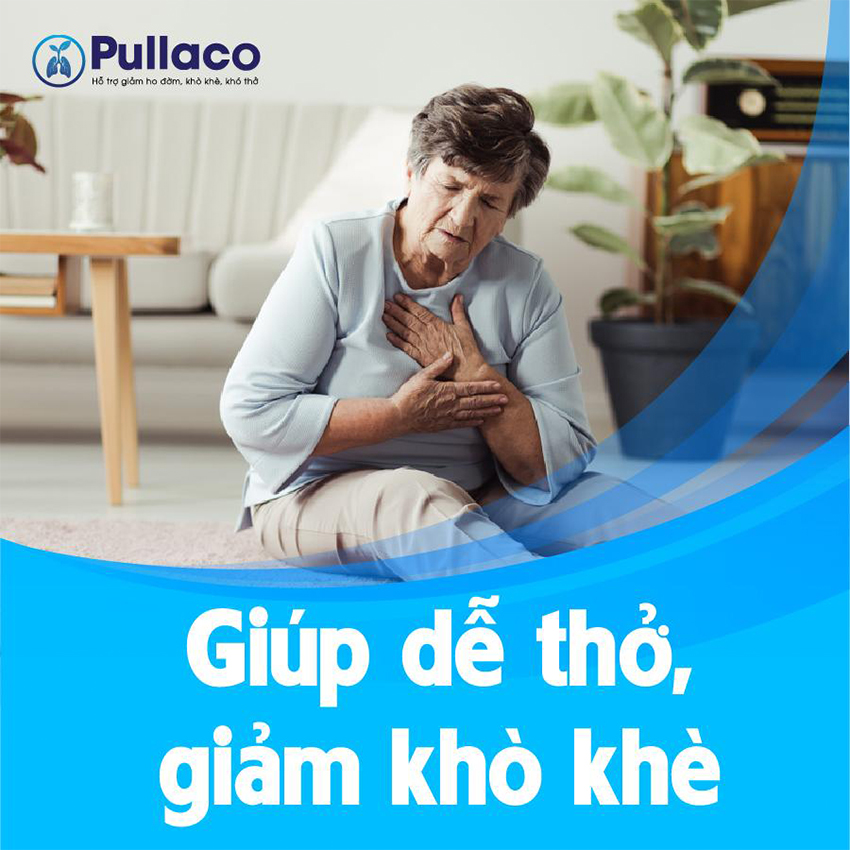PULLACO - Hỗ Trợ Bổ Phế Giảm Ho Long Đờm (Hộp 20 viên)