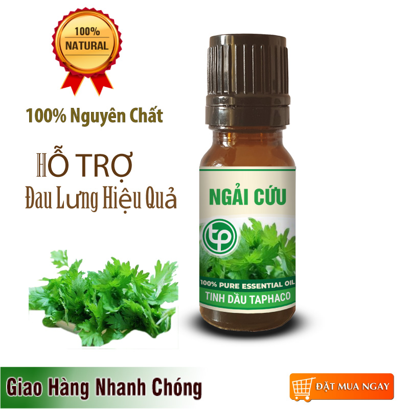 Tinh dầu ngải cứu nguyên chất 10ml - Thảo Dược Tấn Phát