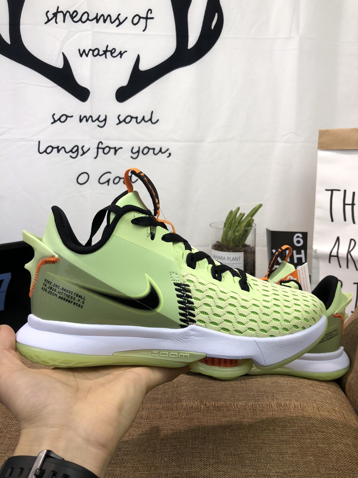 lebron james witness