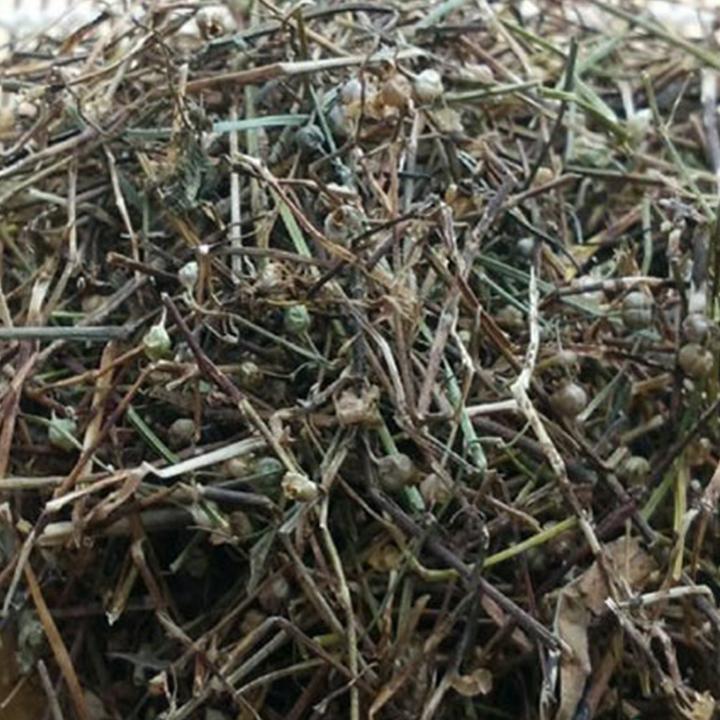 bạch hoa xà thiệt thảo khô