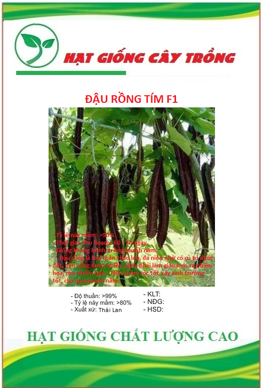 Hạt giống đậu rồng tím thái lan ct159 - gói 5 hạt