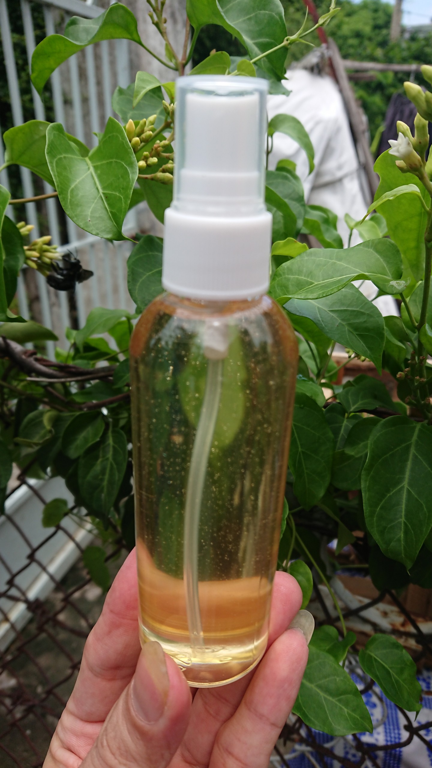 Dầu dừa nguyên chất 100% nhà nấu