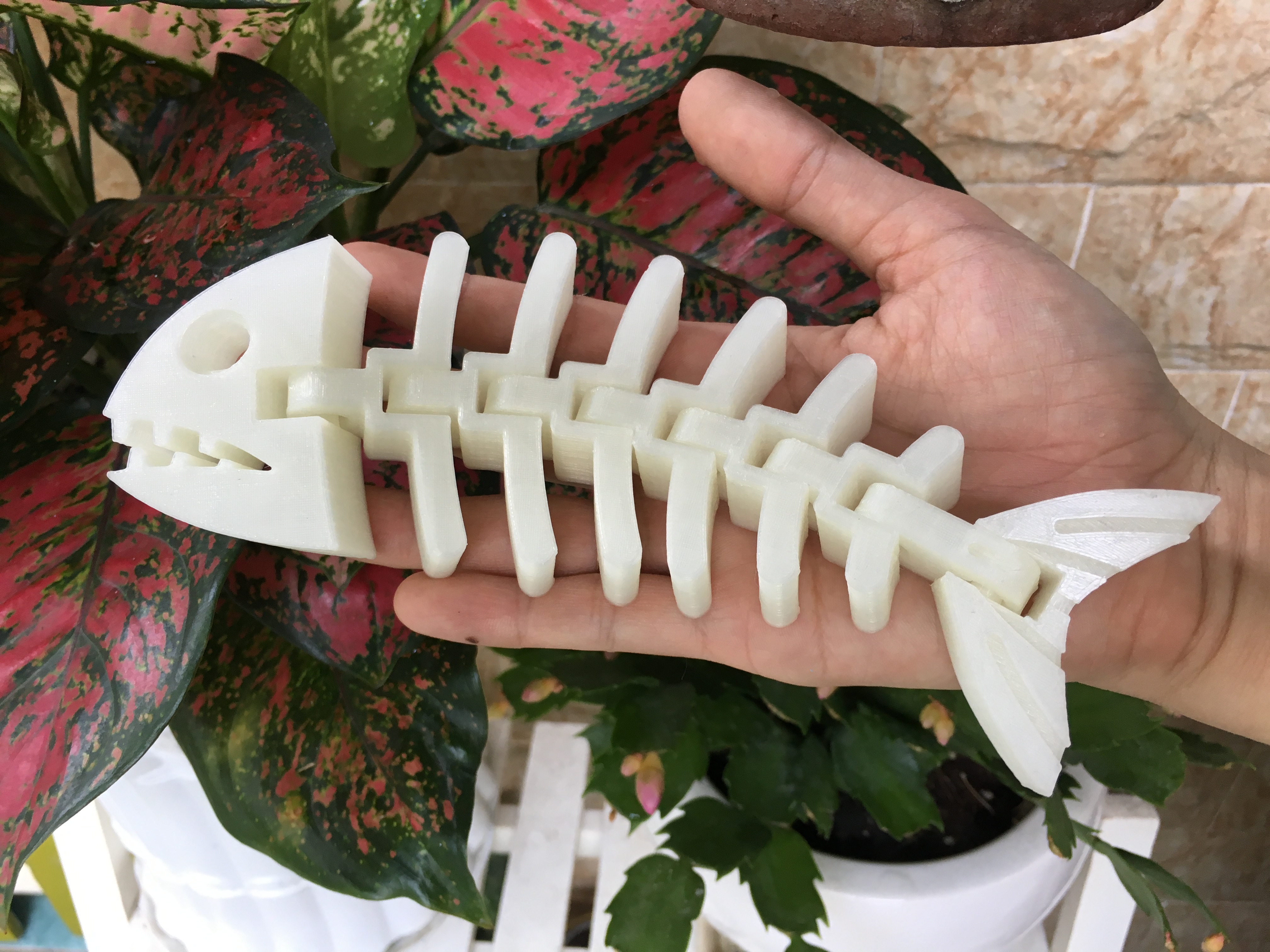 Mô hình in 3D - Xương cá linh hoạt