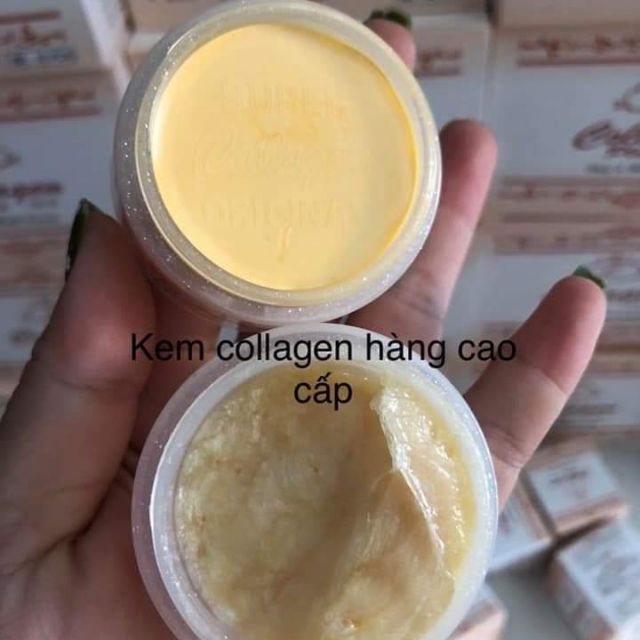 Bộ kem collagen plus vit e cao cấp 701(kem đêm màu ngà vàng)