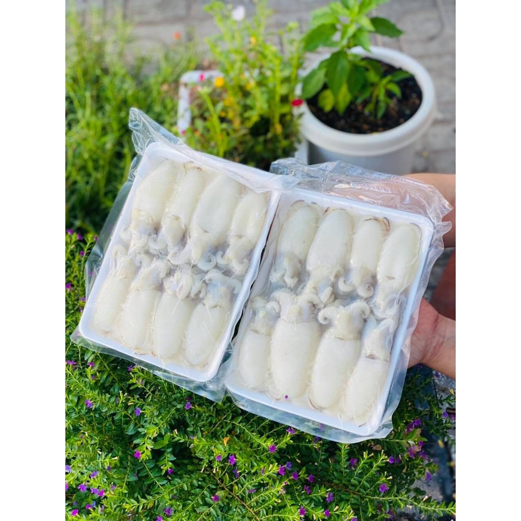 ✆  Mực Bầu 1KG ( Nang Nút)