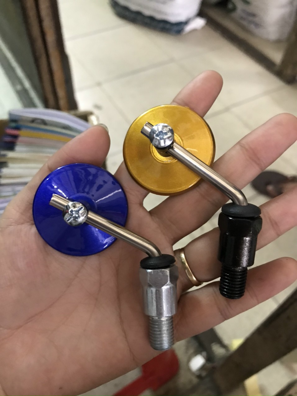 KIẾNG TRÒN NHỎ MINI