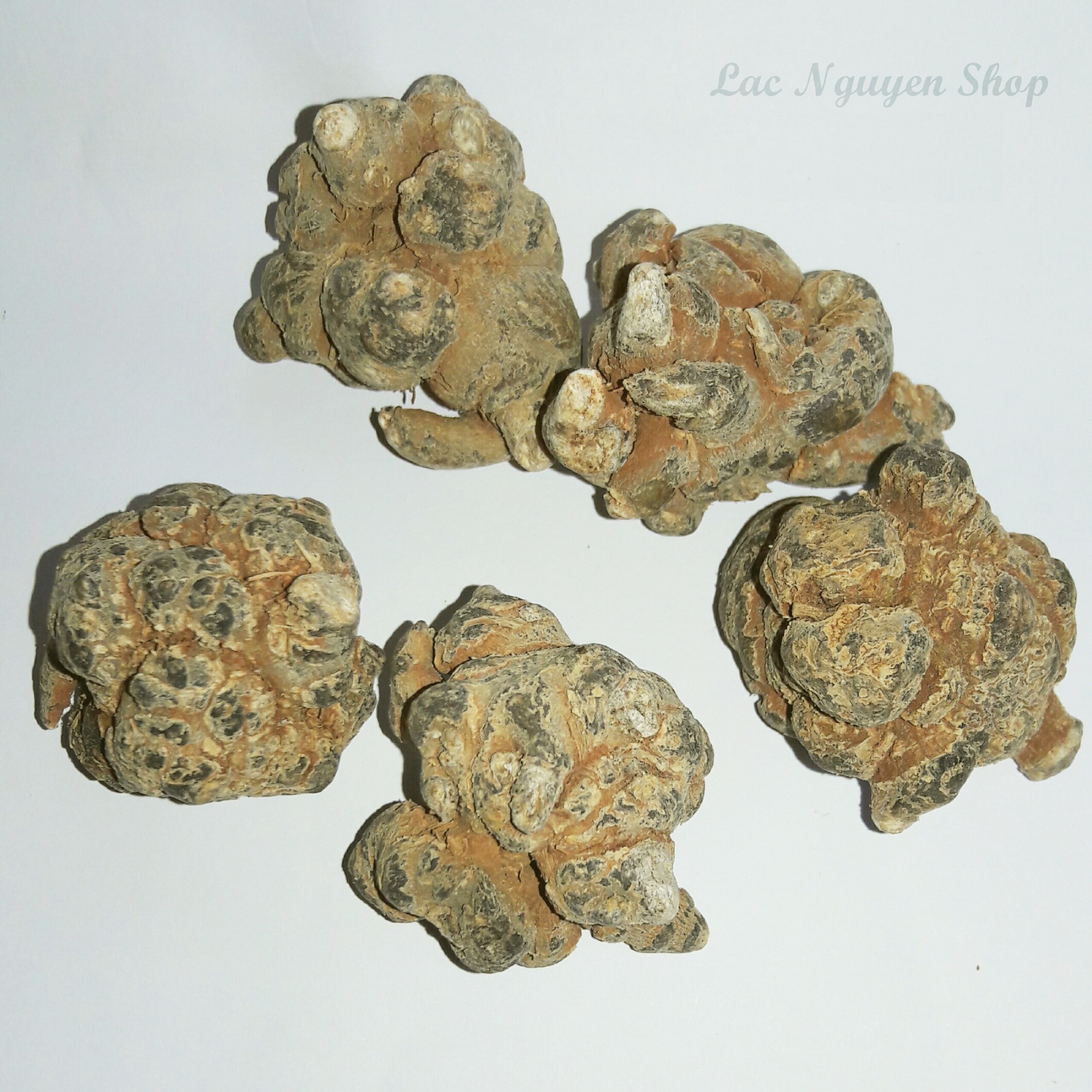 Tam thất bắc loại 5 củ - 100g