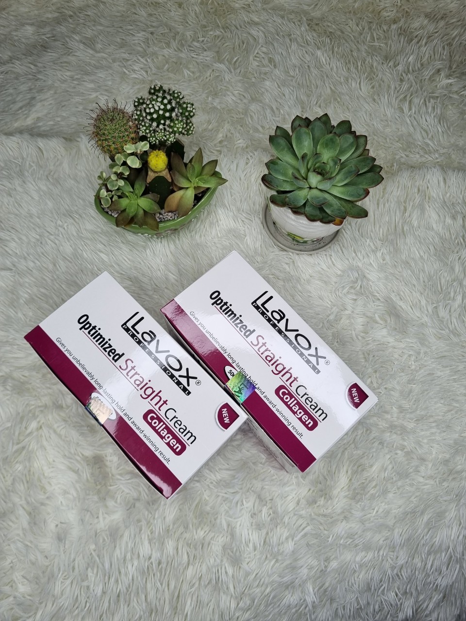 DUỖI LAVOX TÍM