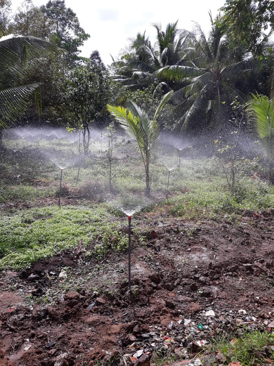10 cái Béc vít màu đỏ (béc +răng nối)