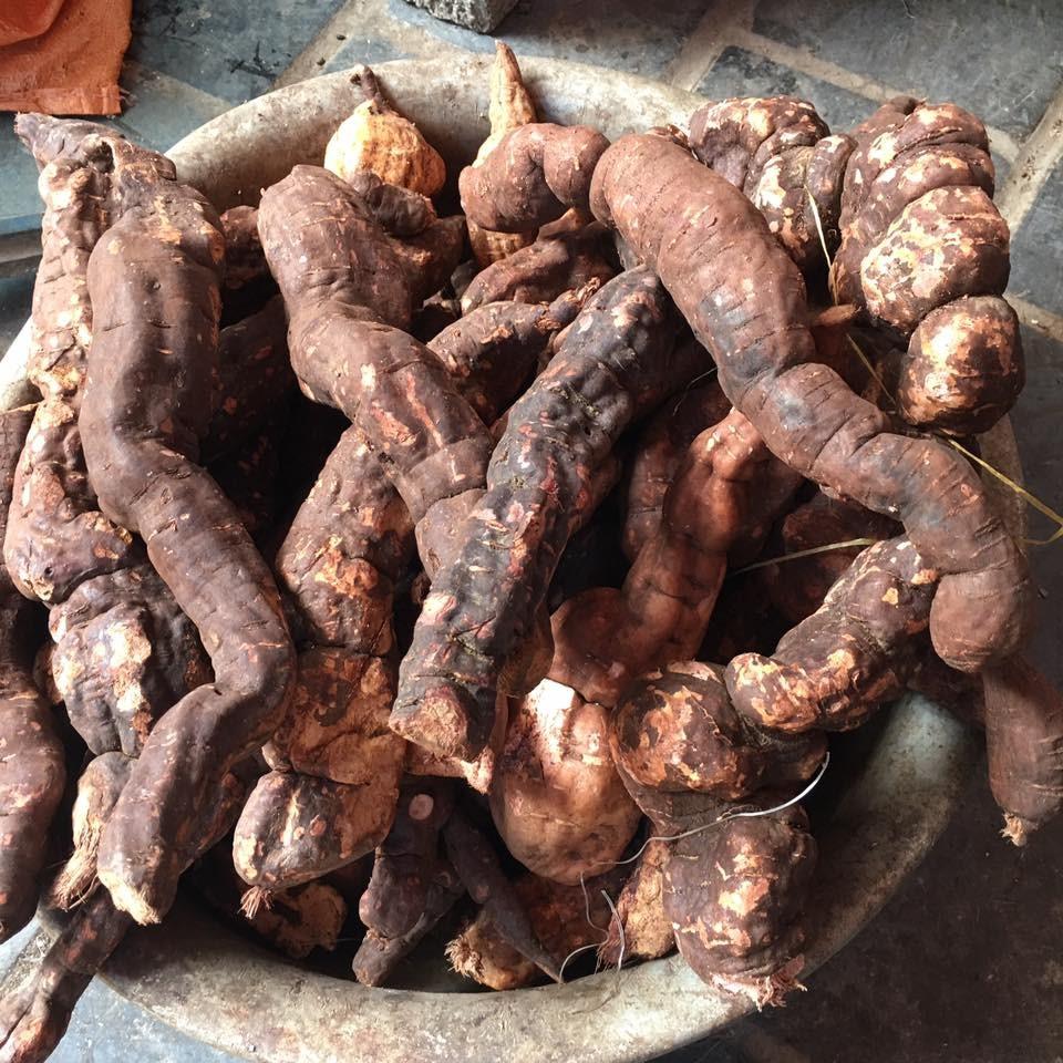 Hà Thủ Ô Đỏ Khô  1Kg