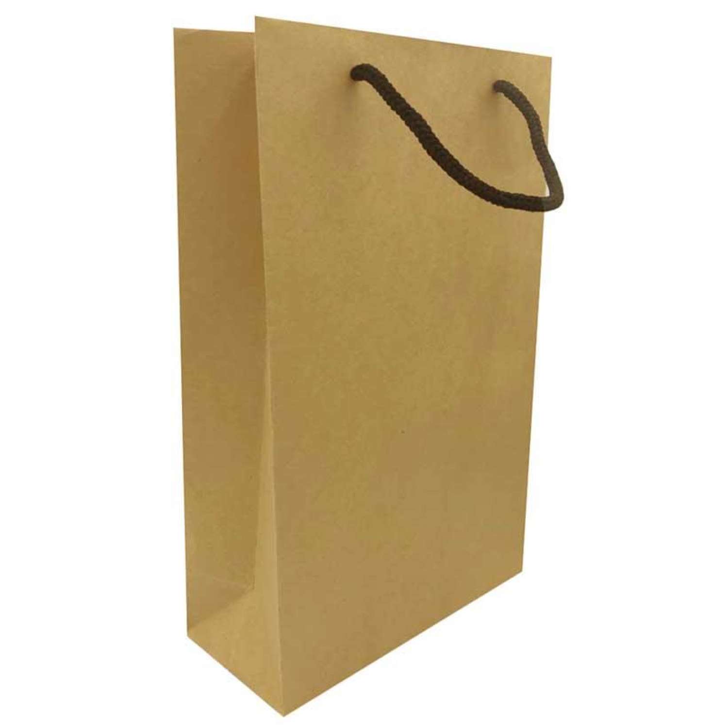 Combo 100 túi giấy kraft trơn kt03