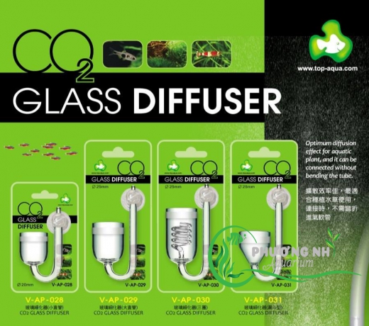 Sủi co2 thuỷ tinh