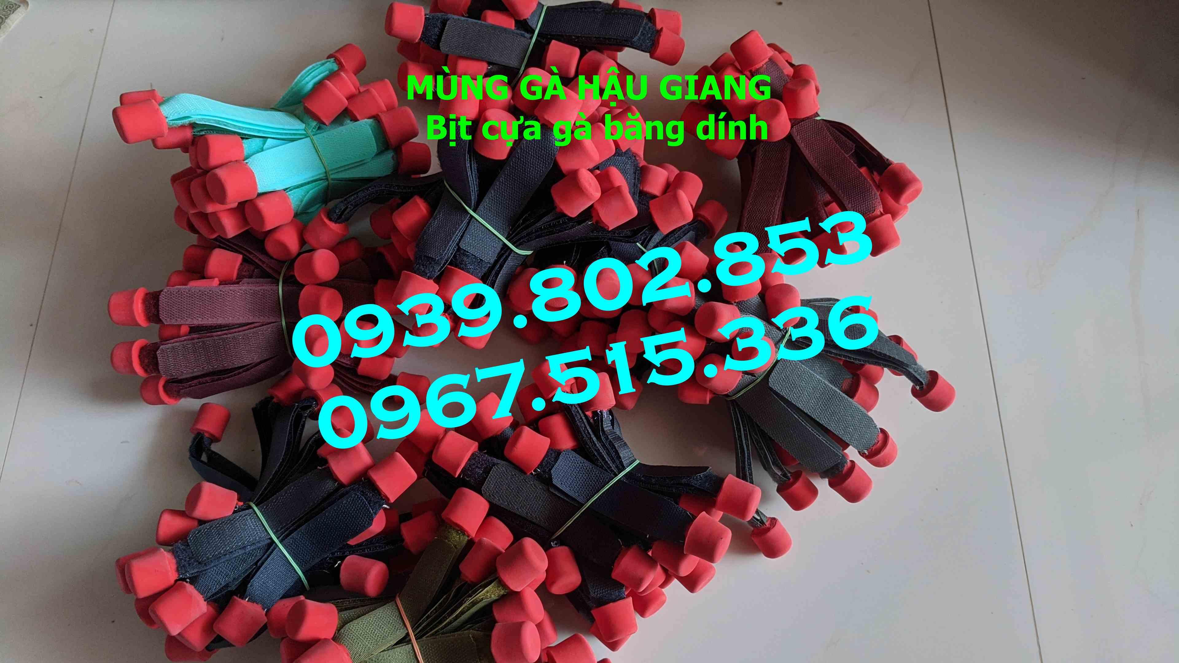 Bịt cựa gà nòi giá rẻ (1 bộ 4 cái)