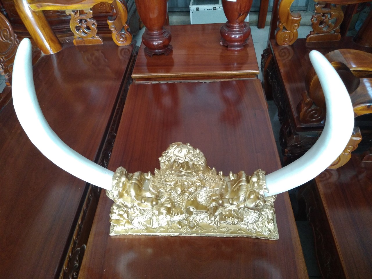 Ngà voi đôi nhân tạo - Đại