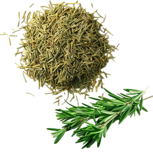 Hương Thảo (Rosemary)