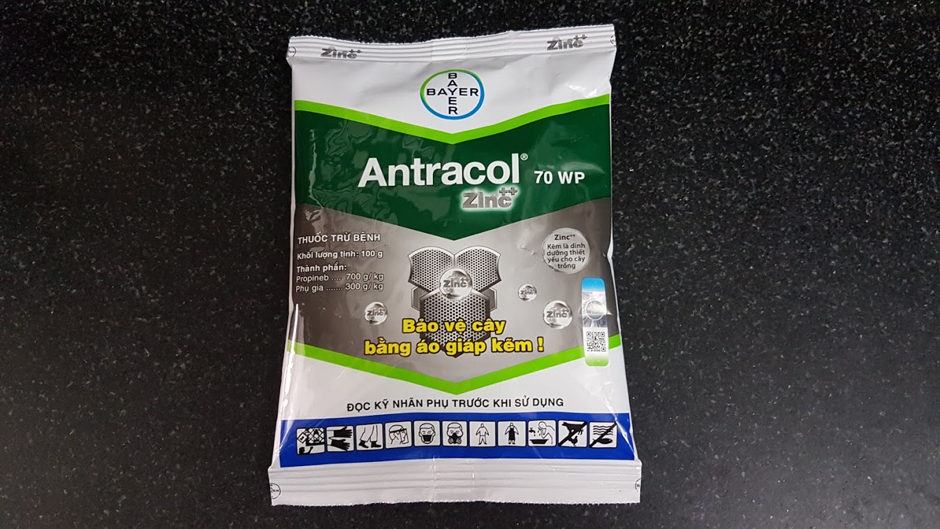 Antracol 70wp phòng ngừa nấm bệnh cho hoa lan và nhiều loại cây trồng gói 100gr