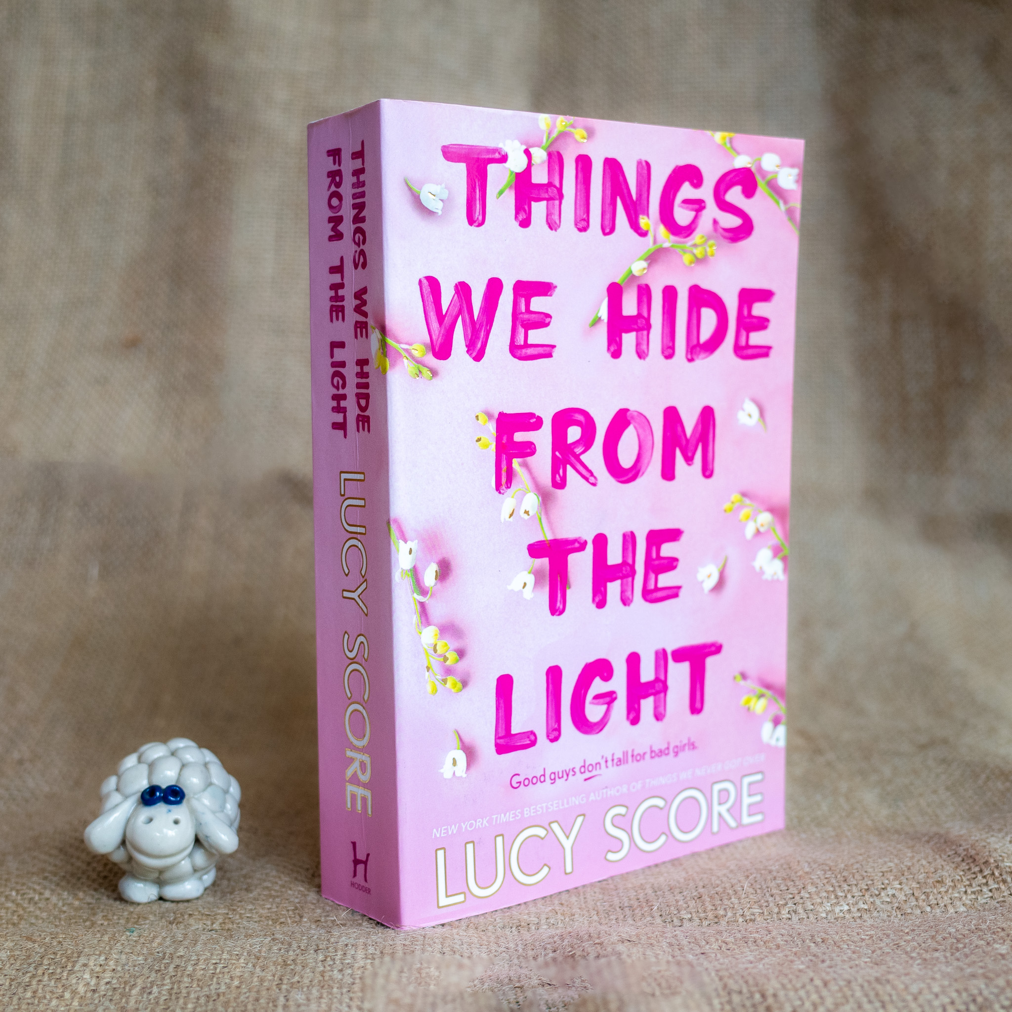 Things We Hide From The Light - Lucy Score