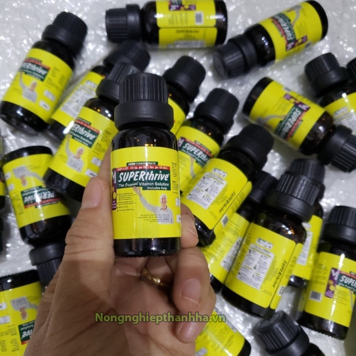 Hoocmon kích thích sinh trưởng Superthrive 20ml - T199
