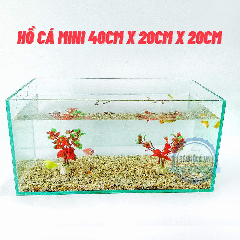 [Hoàn Tiền 10%] Bể cá mini để bàn [D40cm x R20cm x C20cm] để bàn làm việc