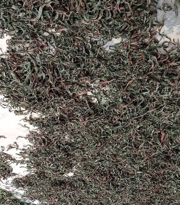 Lá bồ công anh khô 1kg