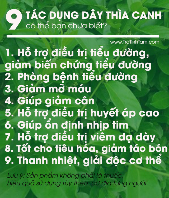 Trà Thảo Mộc Dây Thìa Canh Hộp 15 gói