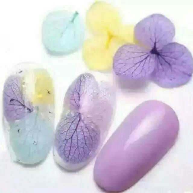 Hoa khô- Hoa Lụa Trang Trí Móng