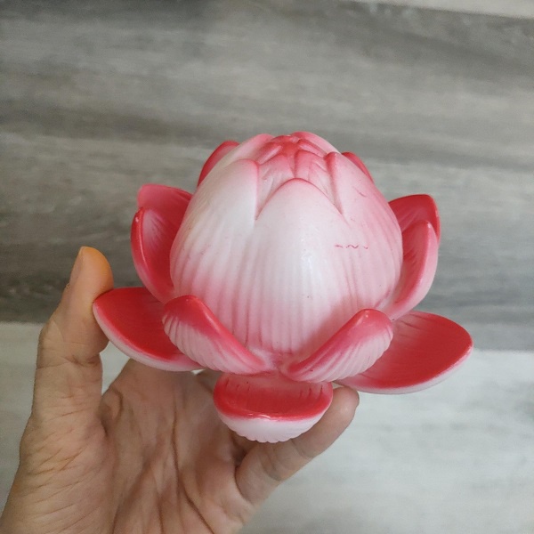Đèn Hoa sen Hồng LED 12cm(kèm Pin)_Video