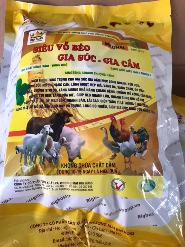 SIÊU VỖ BÉO