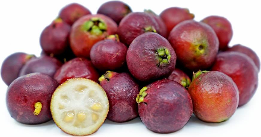 Cây Ổi Dâu Tây Nhật