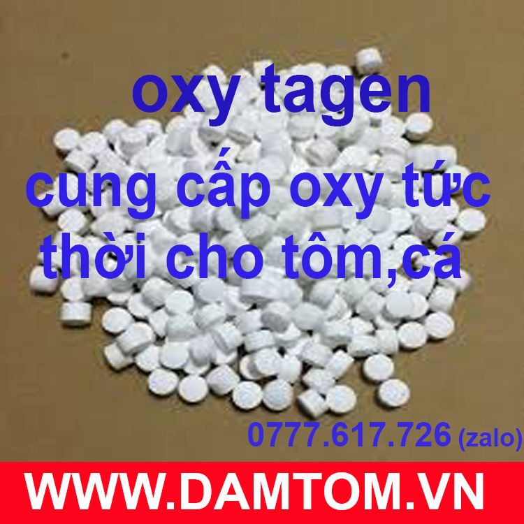 Oxy Viên Sủi Đậm Đặc - Cung Cấp O2 cho Cá