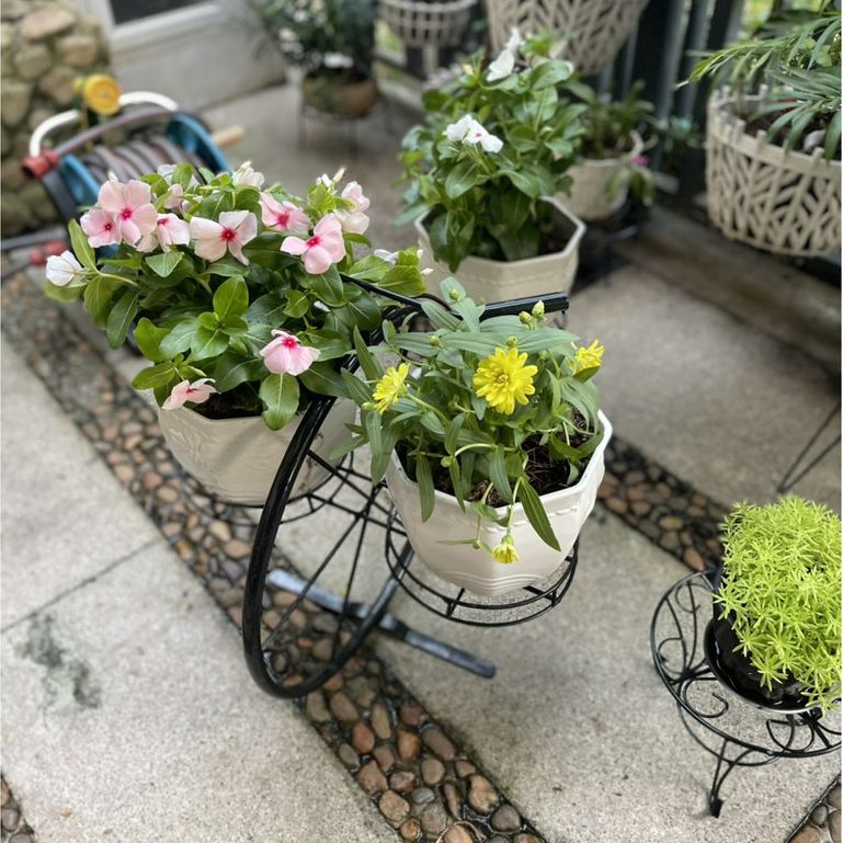[HCM][GREEN HOUSE] Combo 5 Chậu hoa mây để bàn trắng 17cm