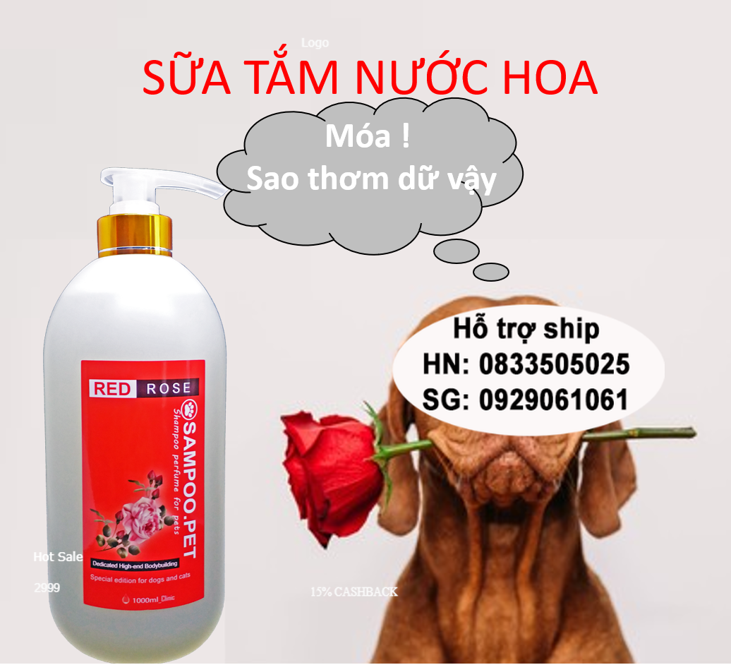 Sữa Tắm Chó mèo Sampoo.pet thơm quý phái -Sữa tắm nước hoa cho thú cưng Thơm lâu tận 22h