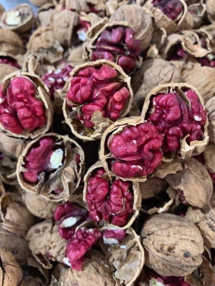 [HCM]ÓC CHÓ NHÂN ĐỎ (đã bóc vỏ) (500gr)