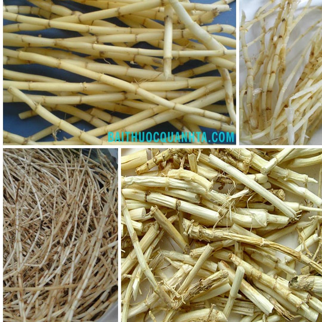 1kg rễ cỏ tranh