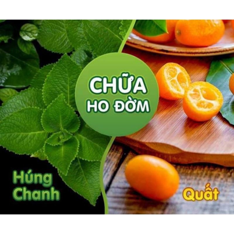 100g Lá húng chanh nhà trồng