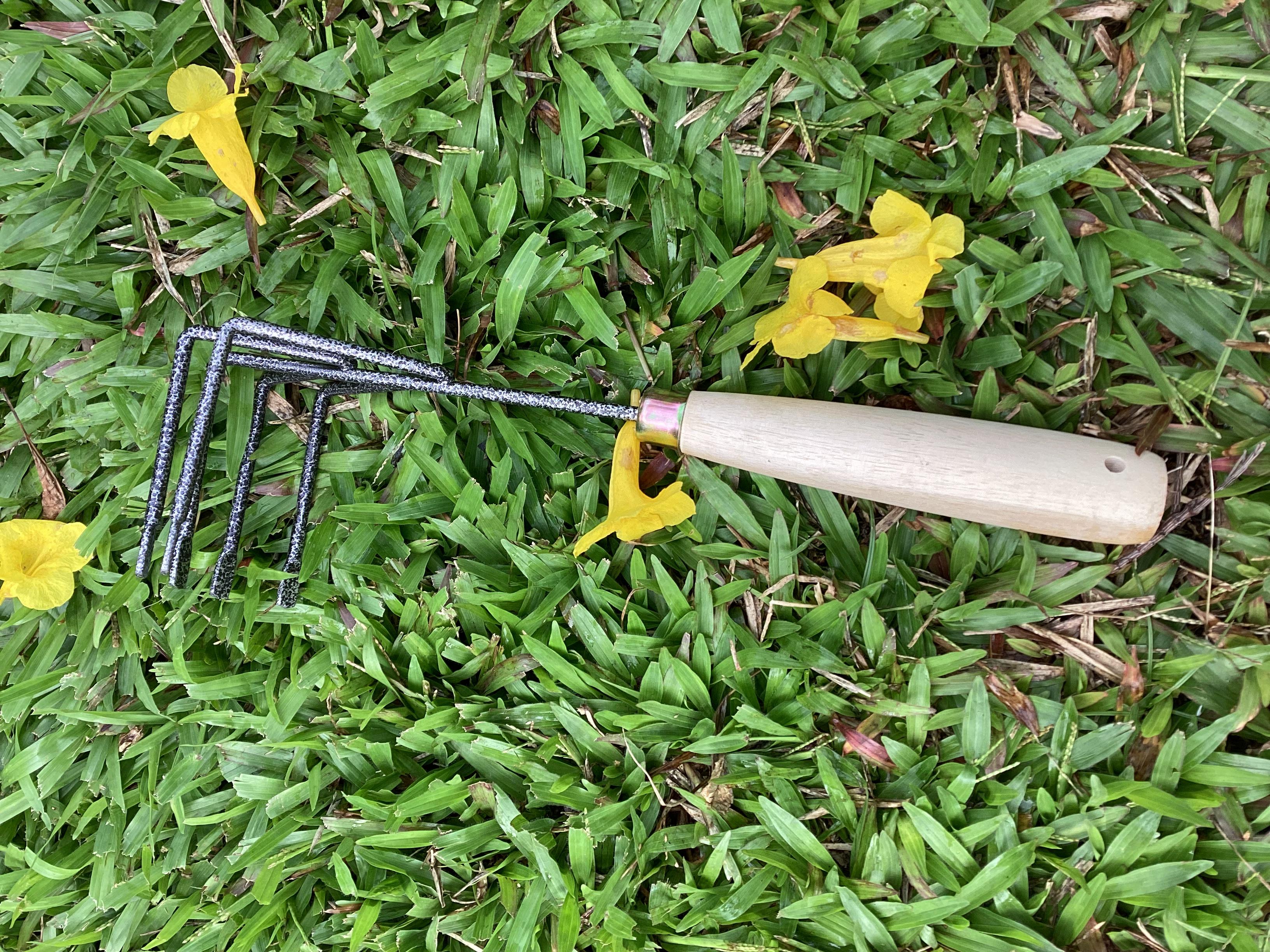 Cào xới đất làm vườn lưỡi Thép cán Gỗ