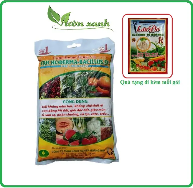 (tặng Lân xanh kích rễ) Nấm Trichoderma (ủ phân+ tưới gốc) phòng thối rễ, tăng cường miễn dịch cây trồng 1kg