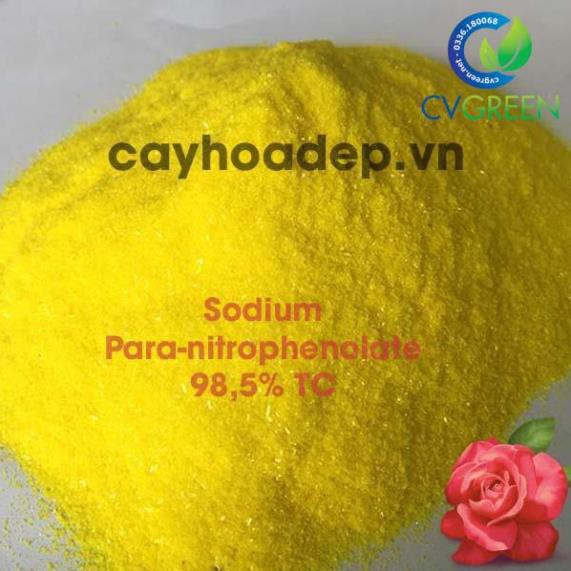 [HCM]Sodium Para-nitrophenolate 99% TC (kích thích hấp thụ phân bón) tan trong nước gói 100gram