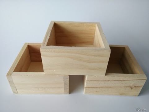 Chậu gỗ cắm hoa 6-8-10-15cm (vuông/kiểu)