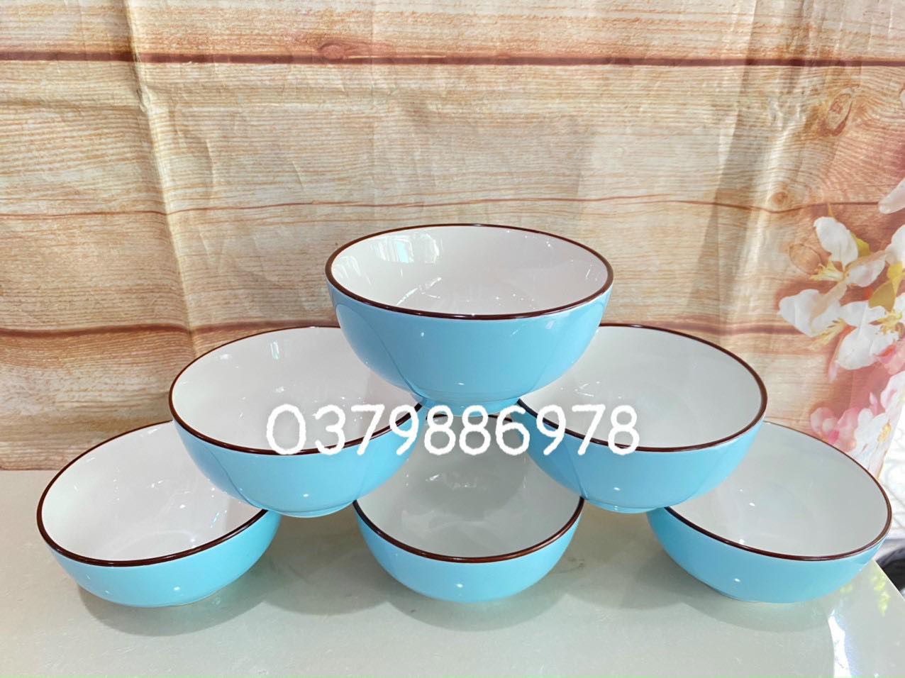 Bộ 10 chén sứ ăn cơm màu xanh pastel cao cấp