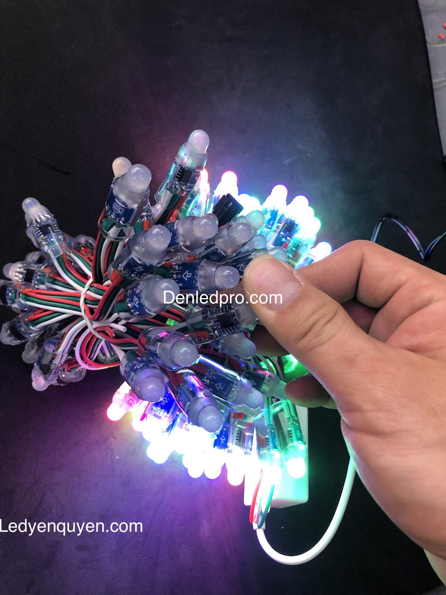 Led F8 Full Đúc IC1903 bó 50 led