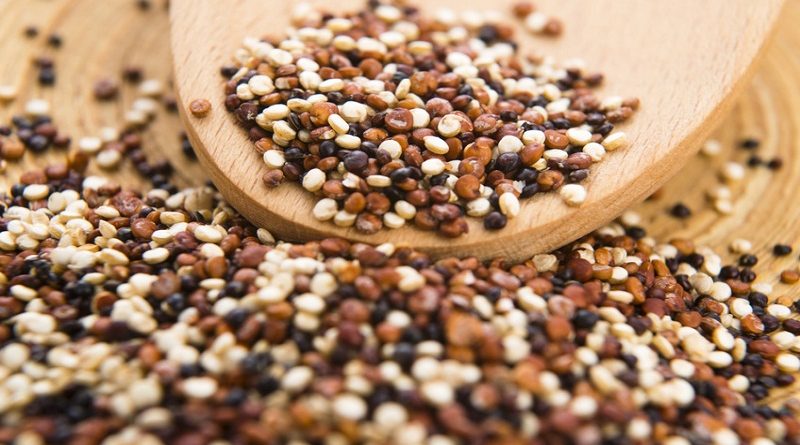 Hạt quinoa Mix 3 màu chất lượng