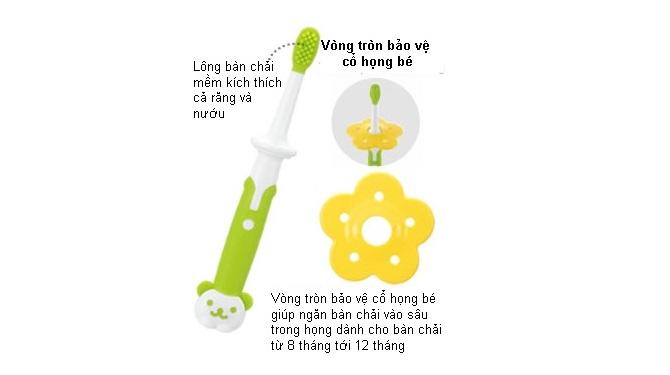 Bàn chải bước 2 8M Richell