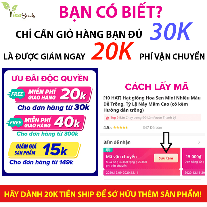 [HCM]Hạt giống Cà Rốt Củ Tròn