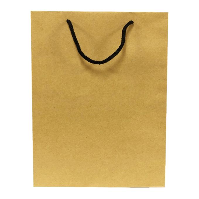 Combo 50 túi kraft trơn KT09 (30 x 21 x 10cm )