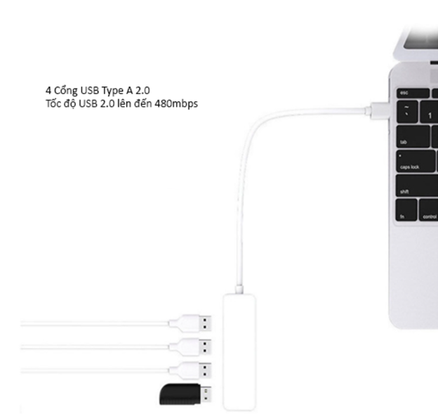 HUB Type C và HUB USB cho 4 cổng USB 2.0, USB OTG