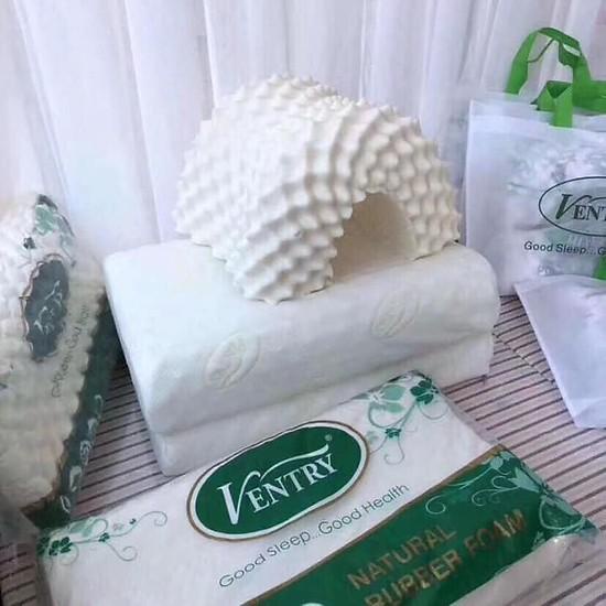 Gối cao su non Ventry cao cấp