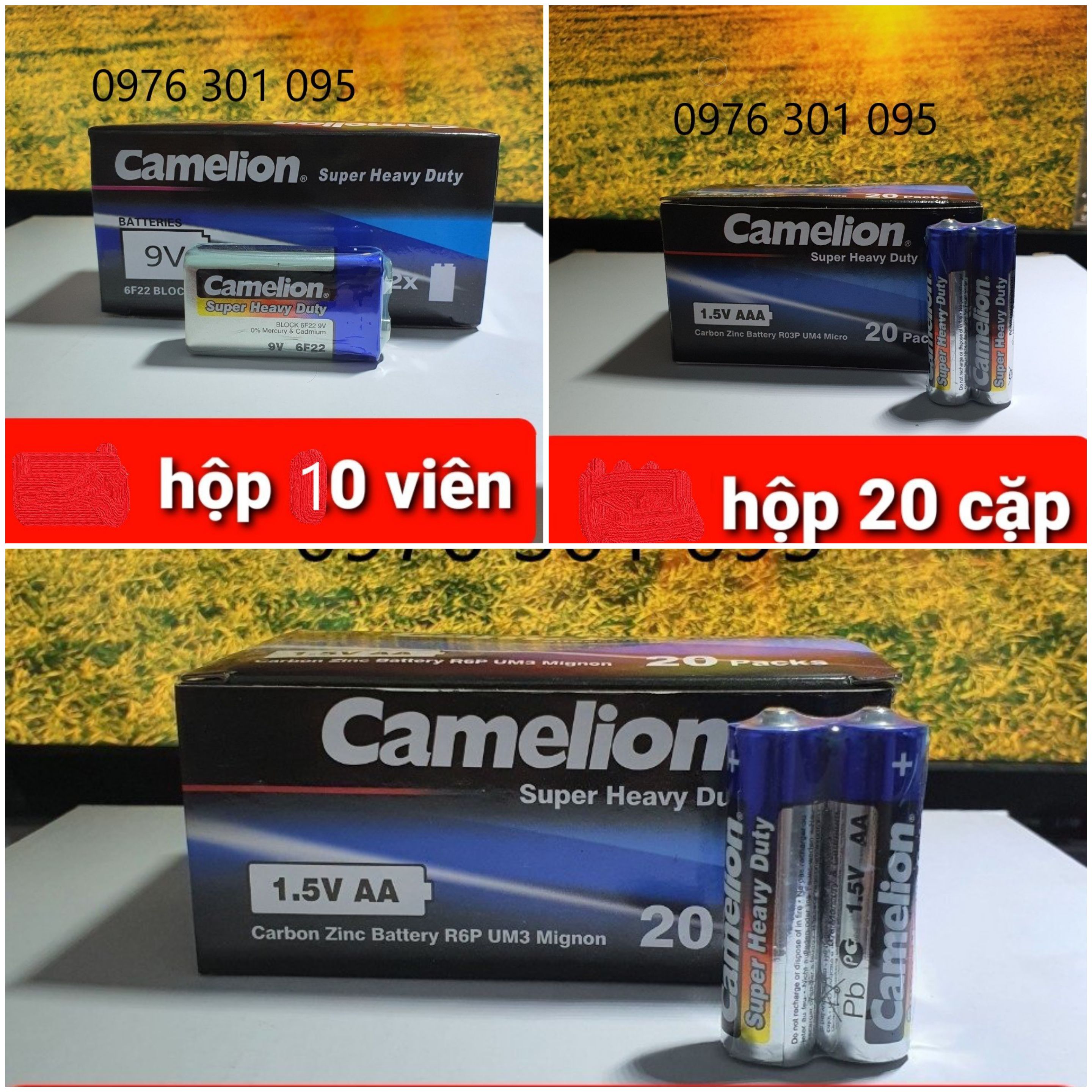 [CAMELION] Pin AA, AAA, Vuông 9V Thông Dụng ( Hộp )