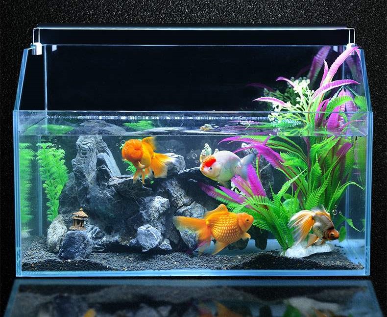 Đèn máng 12W cho hồ bể cá cảnh 60 - 70 cm Led XML-60, ánh sáng trắng cao cấp