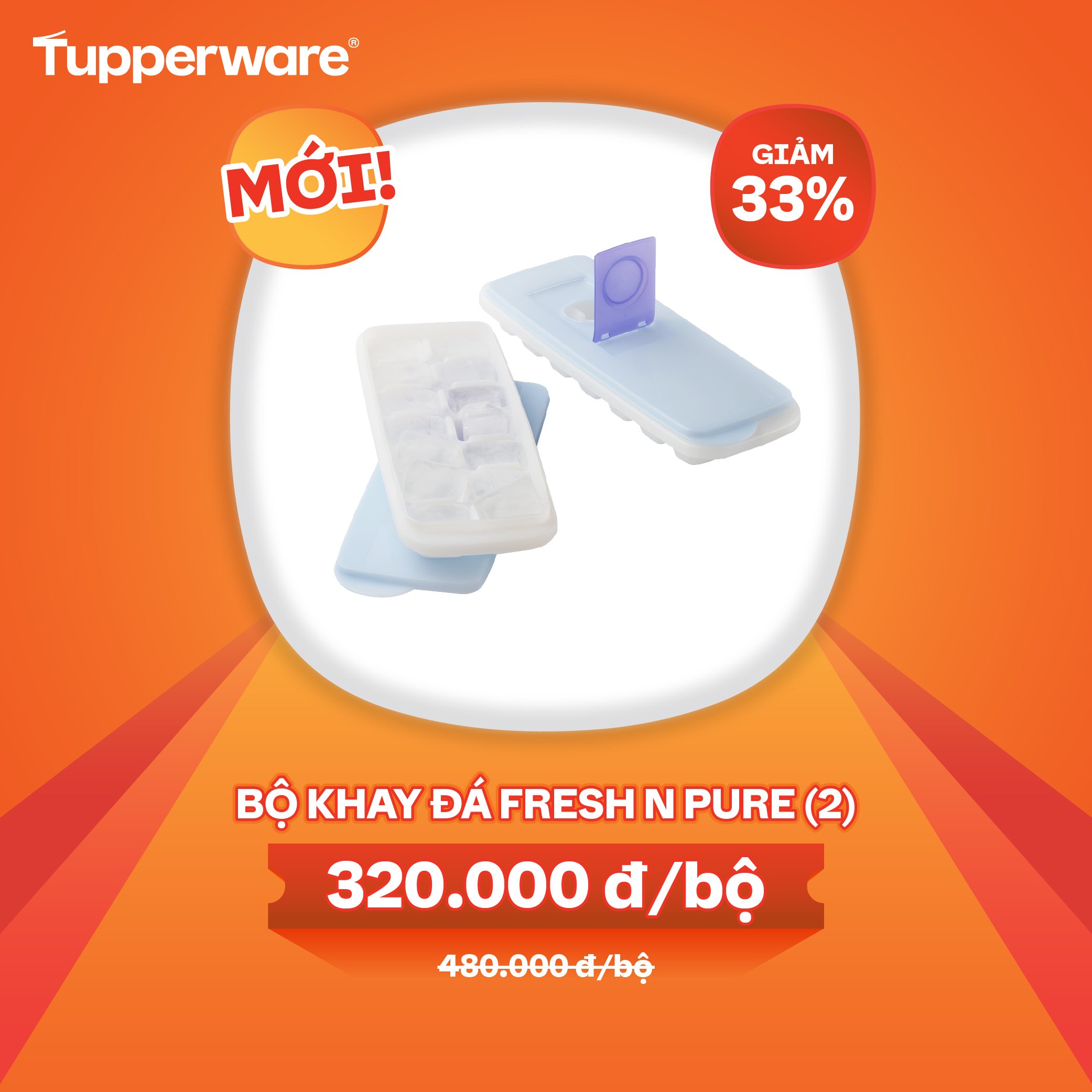 Khay đá Tupperware Fresh n Pure (2)